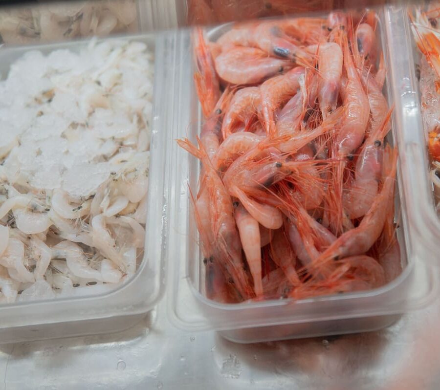 Gamba roja, gamba blanca y langostinos